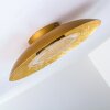 KINOSIS Ceiling Light LED gold, 1-light source