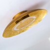 KINOSIS Ceiling Light LED gold, 1-light source