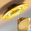 KINOSIS Ceiling Light LED gold, 1-light source