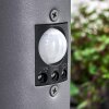 GABORONE path light anthracite, 1-light source, Motion sensor