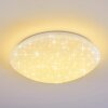 Brighton STAR Ceiling light LED white, 1-light source, Remote control, Colour changer