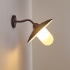 SURNU Outdoor Wall Light brown, rust-coloured, 1-light source