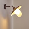 SURNU Outdoor Wall Light brown, rust-coloured, 1-light source