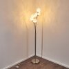 BERNADO Floor Lamp matt nickel, 6-light sources