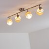 Lotorp Ceiling Light matt nickel, 4-light sources