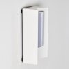 Outdoor Wall Light Lamoliere LED white, 1-light source