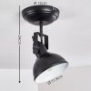 Tina Ceiling Light black, 1-light source