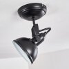 Tina Ceiling Light black, 1-light source