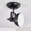 Tina Ceiling Light black, 1-light source