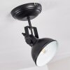 Tina Ceiling Light black, 1-light source