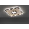 Ceiling Light Fischer & Honsel Bug LED gold, rust-coloured, 1-light source, Remote control