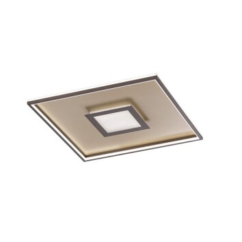 Ceiling Light Fischer & Honsel Bug LED gold, rust-coloured, 1-light source, Remote control