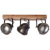 Brilliant CARMEN WOOD SpotLight stainless steel, 3-light sources