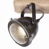 Brilliant CARMEN WOOD SpotLight stainless steel, 3-light sources