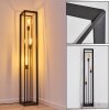 TRARYD Floor Lamp black, 3-light sources