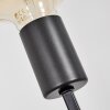 TRARYD Floor Lamp black, 3-light sources