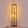 TRARYD Floor Lamp black, 3-light sources