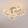Chippewa Ceiling Light LED matt nickel, 1-light source