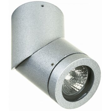 Albert 2138 outdoor ceiling light silver, 1-light source