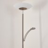 Argostoli Floor Lamp LED matt nickel, 2-light sources