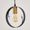 Pendant Light Leentje black-gold, 1-light source