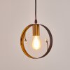 Pendant Light Leentje black-gold, 1-light source