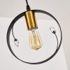 Pendant Light Leentje black-gold, 1-light source