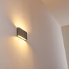 Outdoor Wall Light Tinglev LED grey, titanium, 2-light sources