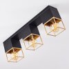 AGAWAM Ceiling Light gold, brass, black, 3-light sources