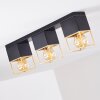 AGAWAM Ceiling Light gold, brass, black, 3-light sources