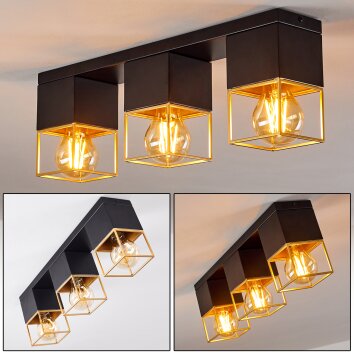 AGAWAM Ceiling Light gold, brass, black, 3-light sources