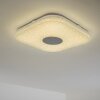 NUTAK Ceiling Light LED white, 1-light source, Remote control, Colour changer