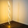 Paul Neuhaus POLINA floor lamp LED stainless steel, 2-light sources