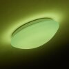 Brighton Ceiling light LED white, 1-light source, Remote control, Colour changer