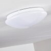 Brighton Ceiling light LED white, 1-light source, Remote control, Colour changer