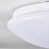 Brighton Ceiling light LED white, 1-light source, Remote control, Colour changer