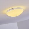 Brighton Ceiling light LED white, 1-light source, Remote control, Colour changer