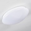 Brighton Ceiling light LED white, 1-light source, Remote control, Colour changer