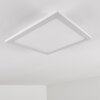 Salmi Ceiling Light LED aluminium, white, 1-light source