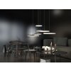 ARTIST25 Pendant Light Design by Nordlux LED black, 1-light source