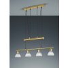 Trio LEVISTO hanging light LED brass, 4-light sources