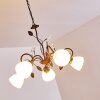 Peccia Pendant Light rust-coloured, 5-light sources