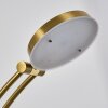 Argostoli Floor Lamp LED brass, 2-light sources