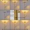 Argostoli Floor Lamp LED brass, 2-light sources