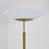 Argostoli Floor Lamp LED brass, 2-light sources