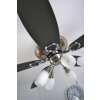 Globo JERRY fan chrome, stainless steel, matt nickel, 5-light sources