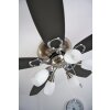 Globo JERRY fan chrome, stainless steel, matt nickel, 5-light sources