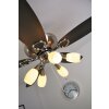 Globo JERRY fan chrome, stainless steel, matt nickel, 5-light sources