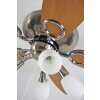 Globo JERRY fan chrome, stainless steel, matt nickel, 5-light sources