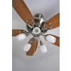 Globo JERRY fan chrome, stainless steel, matt nickel, 5-light sources